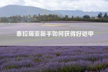 泰拉瑞亚新手如何获得好铠甲