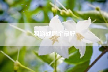 租游戏哪个最好