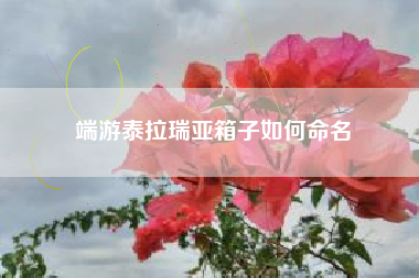 端游泰拉瑞亚箱子如何命名