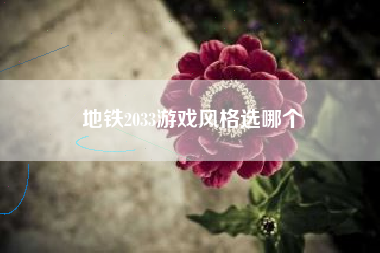地铁2033游戏风格选哪个