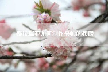 泰拉瑞亚如何制作最帅的翅膀