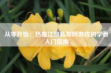 从零开始：热血江湖私发网游戏初学者入门指南