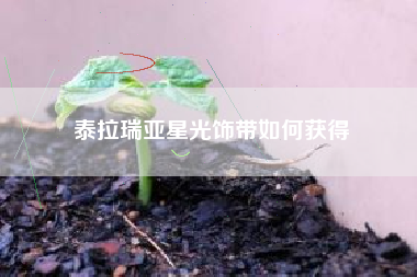 泰拉瑞亚星光饰带如何获得