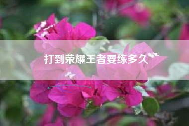 打到荣耀王者要练多久