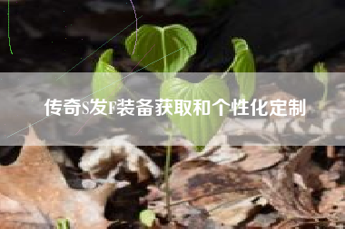 传奇S发F装备获取和个性化定制