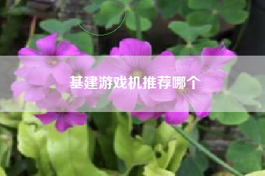 基建游戏机推荐哪个