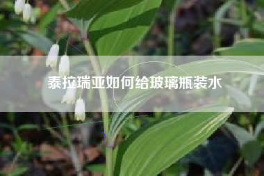 泰拉瑞亚如何给玻璃瓶装水