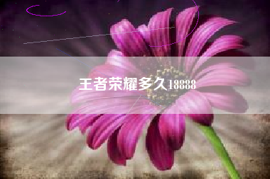 王者荣耀多久18888