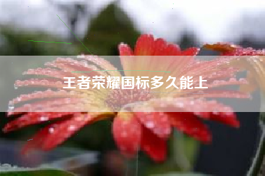 王者荣耀国标多久能上