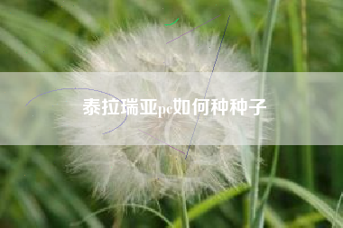 泰拉瑞亚pc如何种种子