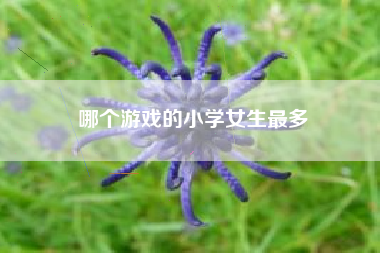 哪个游戏的小学女生最多