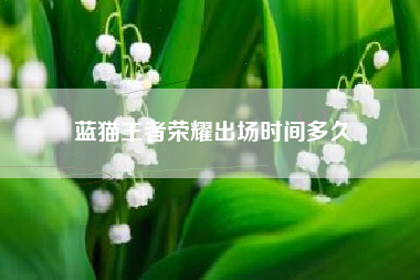 蓝猫王者荣耀出场时间多久