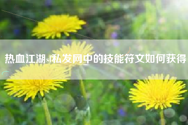 热血江湖sf私发网中的技能符文如何获得