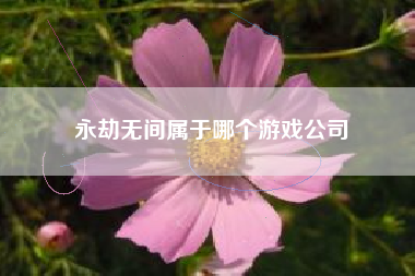 永劫无间属于哪个游戏公司