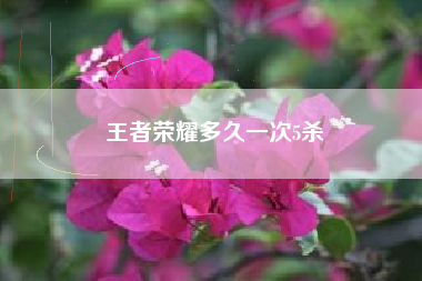王者荣耀多久一次5杀