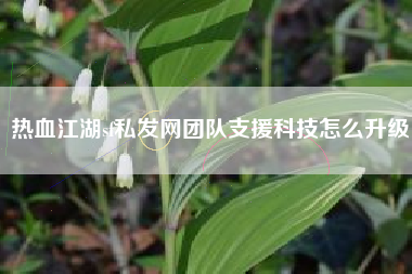 热血江湖sf私发网团队支援科技怎么升级
