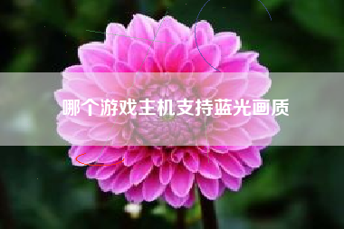 哪个游戏主机支持蓝光画质