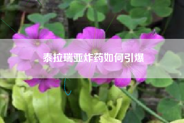 泰拉瑞亚炸药如何引爆