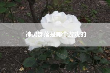 神灵部落是哪个游戏的