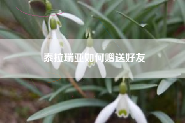 泰拉瑞亚如何赠送好友
