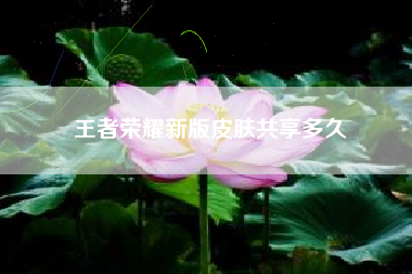 王者荣耀新版皮肤共享多久