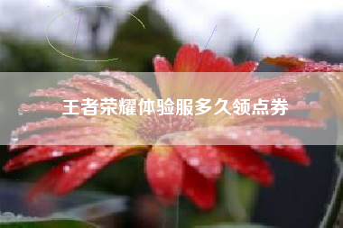王者荣耀体验服多久领点券