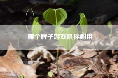哪个牌子游戏鼠标耐用