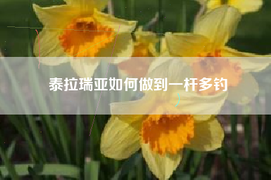 泰拉瑞亚如何做到一杆多钓