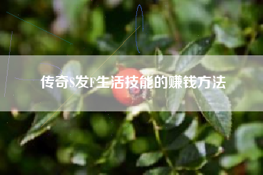 传奇S发F生活技能的赚钱方法