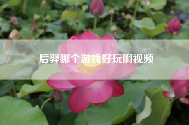 后羿哪个游戏好玩啊视频