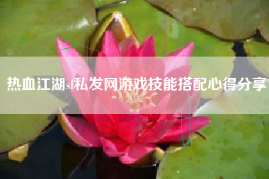 热血江湖sf私发网游戏技能搭配心得分享
