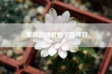 重庆游戏机哪个品牌好