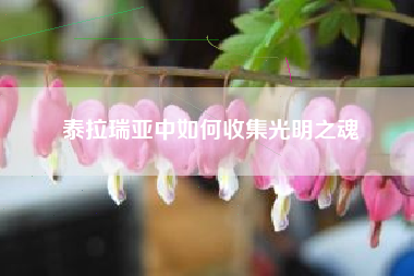 泰拉瑞亚中如何收集光明之魂