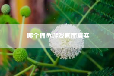 哪个捕鱼游戏画面真实