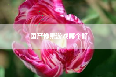 国产像素游戏哪个好