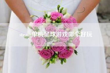 steam单机足球游戏哪个好玩