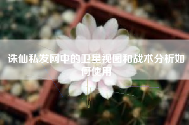 诛仙私发网中的卫星视图和战术分析如何使用