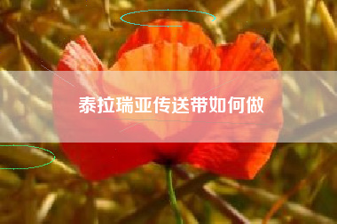 泰拉瑞亚传送带如何做