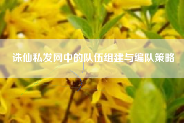 诛仙私发网中的队伍组建与编队策略
