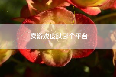 卖游戏皮肤哪个平台