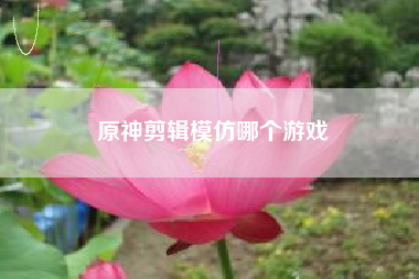 原神剪辑模仿哪个游戏