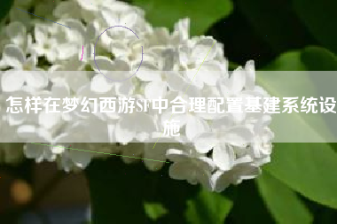 怎样在梦幻西游SF中合理配置基建系统设施
