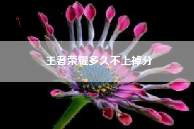 王者荣耀多久不上掉分