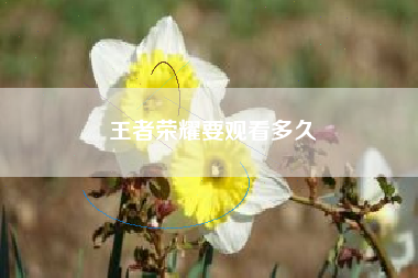 王者荣耀要观看多久