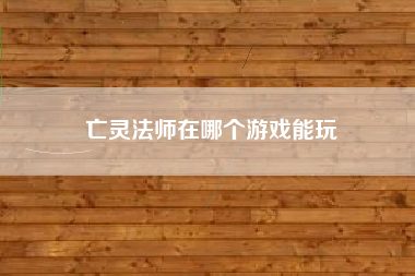 亡灵法师在哪个游戏能玩