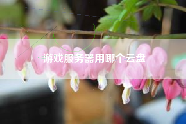 游戏服务器用哪个云盘