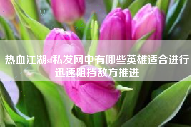热血江湖sf私发网中有哪些英雄适合进行迅速阻挡敌方推进