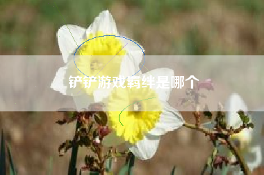 铲铲游戏羁绊是哪个