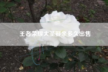 王者荣耀大圣娶亲多久出售