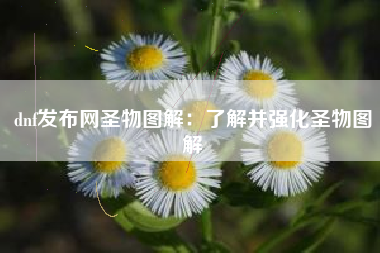 dnf发布网圣物图解：了解并强化圣物图解